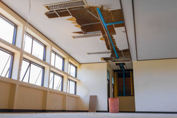 Best Water damage contractors near me  in Forest City, IA