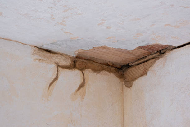 Best Water damage restoration near me  in Forest City, IA