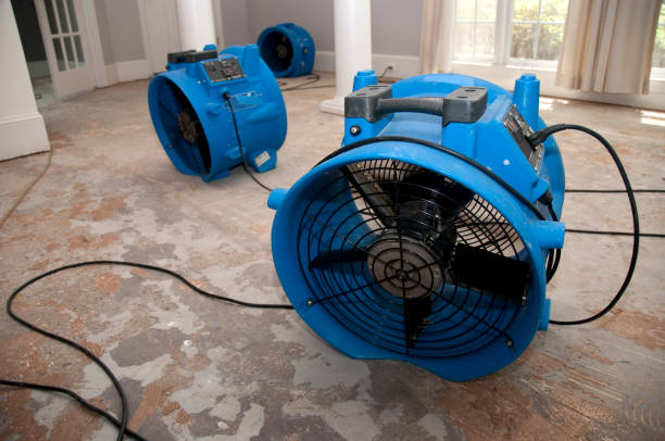 Best Ceiling water damage repair  in Forest City, IA
