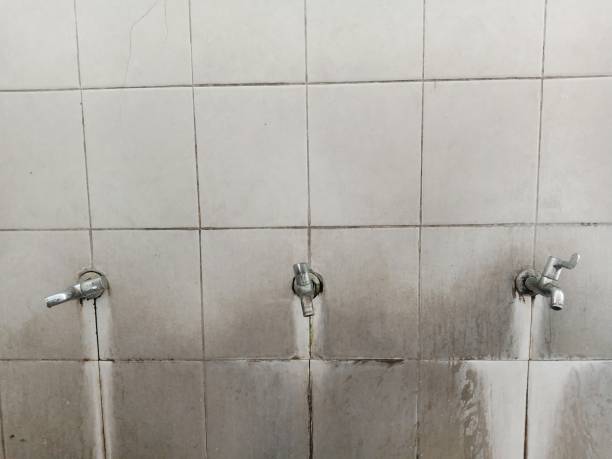Best Water damage restoration company  in Forest City, IA