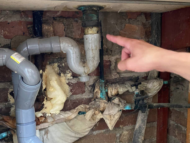 Best Commercial water damage restoration  in Forest City, IA
