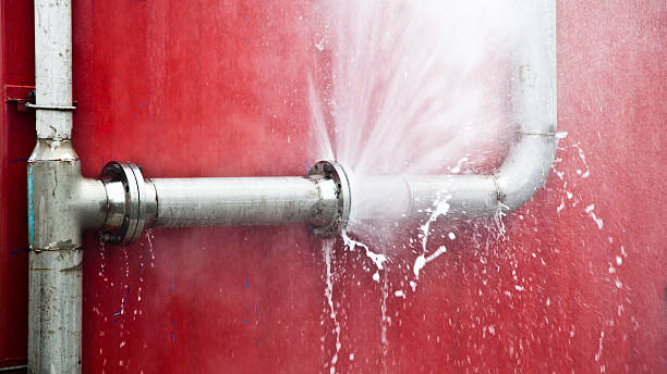 Best Flood damage cleanup  in Forest City, IA